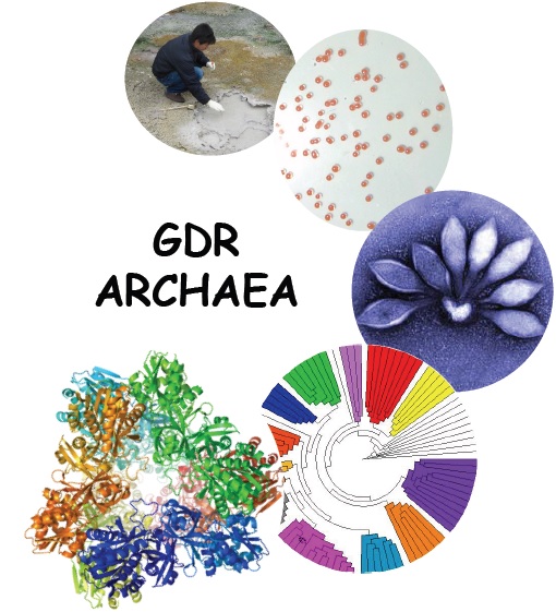 GDR Archaea